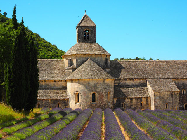 abbaye notre dame de senanque camping gordes